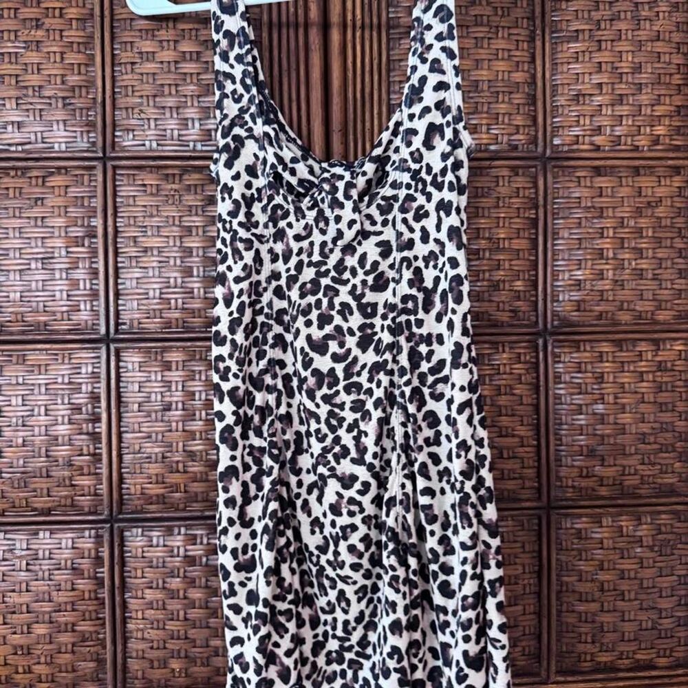 Wild-fable Women's multi Dress